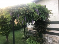 Pilisszentivn ingatlanok