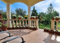 Piliscsaba ingatlanok