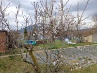 Pilissz�nt� ingatlanok